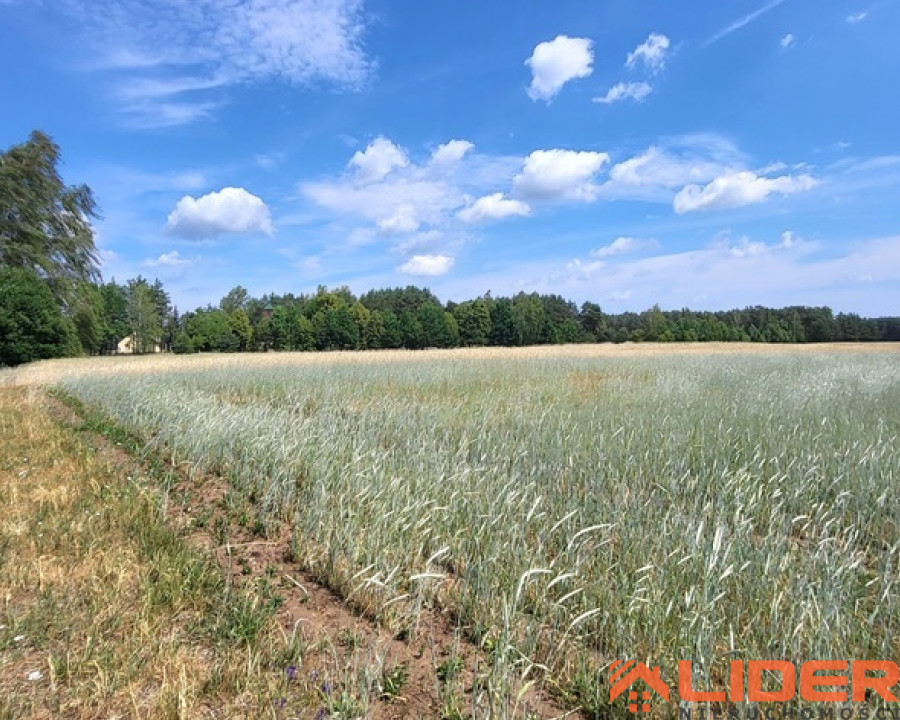 Działka Sprzedaż Krosno